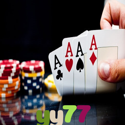  yy77