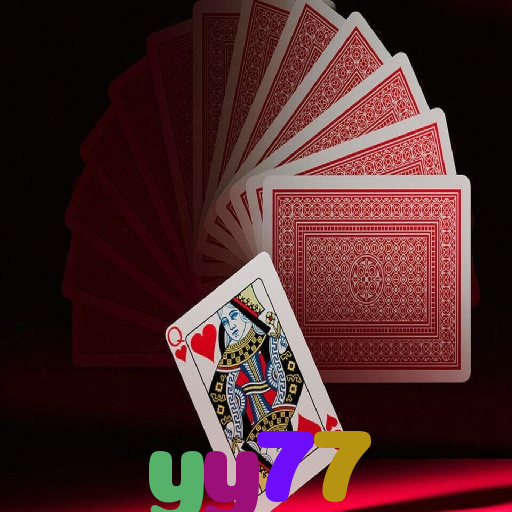  yy77