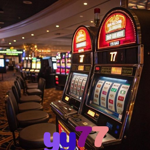  yy77
