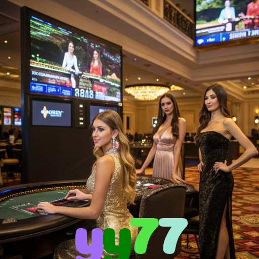  yy77