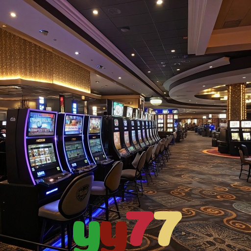  yy77
