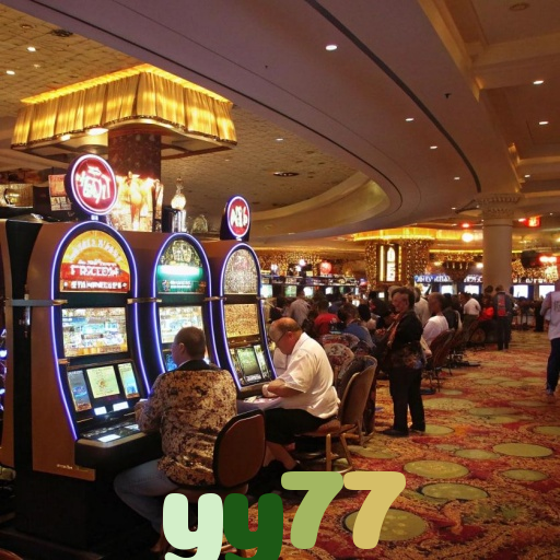  yy77