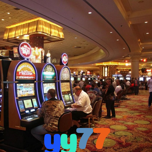  yy77