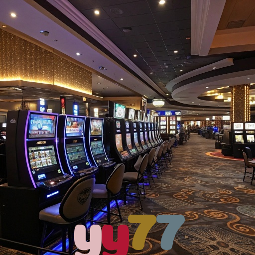  yy77