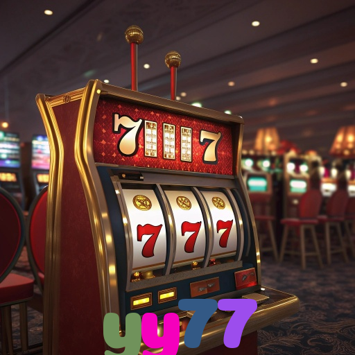  yy77